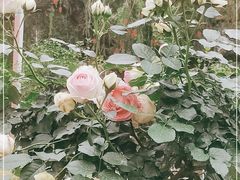 -人民公园(罗湖区)