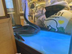 景观位-味家烤肉烤鳗鱼牛排(西塔旗舰店)
