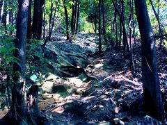 -南山植物园