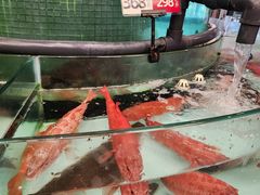 -万龙洲海鲜·粤菜(亚运村店)