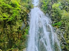 -姑婆山旅游区