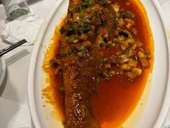 -新侨小馆(东直门北小街店)