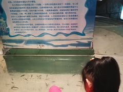-台州海洋世界