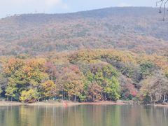 -紫霞湖公园