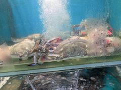 -海味当家·蒸锅海鲜(星海公园店)