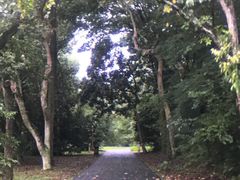 -南宁良凤江国家森林公园