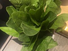 -捞王锅物料理(金华义乌之心店)
