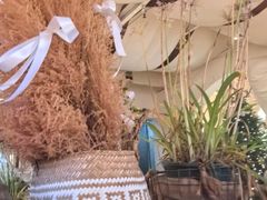 -桃花坞·私房菜餐厅(龙湖时代天街店)