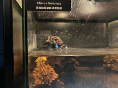 -太平洋海底世界