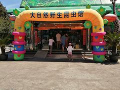 -上海大自然野生昆虫馆(东方明珠·爬宠昆虫探索中心)