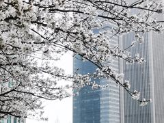 -西北湖绿化广场