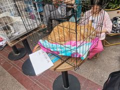 -COSTA COFFEE(上海虹口公园店)