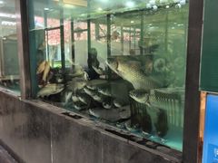 -榕记(番禺总店)