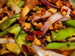 -天山醉美辣子鸡(文艺路店)