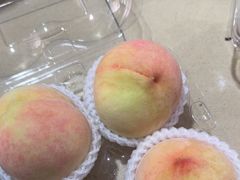 -老袁家蜜桃农场·阳山水蜜桃