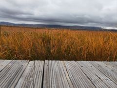 -花湖生态旅游区
