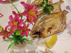 -金鹰潮汕鱼仔店(金鹰大厦店)