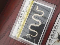 -玉舍国家森林公园