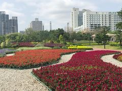 -文华公园(禅城区)