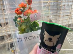 -CoCo都可(新我格广场店)