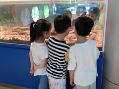 -上海昆虫博物馆