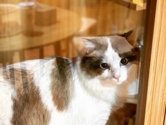 -白兔子密室(长寿路店)