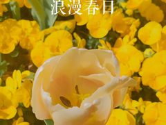 -静安公园(静安寺街道)