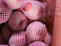 -菜园坝水果市场