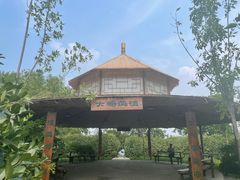 -白洋淀景区