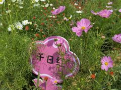 -凤凰沟景区
