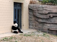 -石家庄市动物园