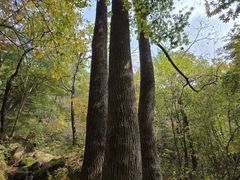 -五女峰国家森林公园