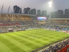 -泰达足球场