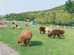 -大连铭湖国际观光牧场