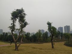 -重庆彩云湖湿地公园