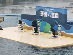 -秦皇岛乐岛海洋王国