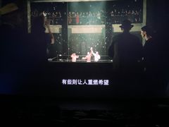 -华谊兄弟影院(IMAX洋桥店)