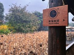 -三圣花乡旅游区