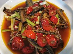 -八0一首创霍老七老螺蛳(万东镇龙景园店)