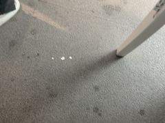 -汇乐游泳馆(莲花南路店)