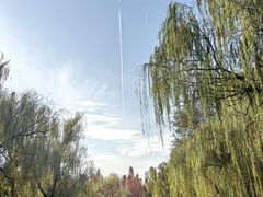 -洛阳市隋唐城遗址植物园