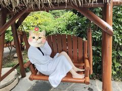 -西安国际创新人才交流中心•药浴温泉