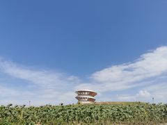 -光明小镇欢乐田园