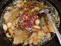 -北京王府井希尔顿酒店·秦唐中餐厅Chynna