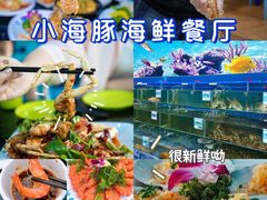 -亚龙湾热带天堂森林公园