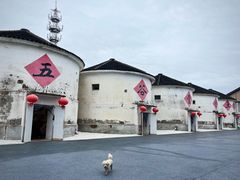 -阳澄湖半岛旅游度假区