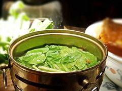 生烫鸡毛菜-卢大鲜鱼头捞饭(美利广场店)