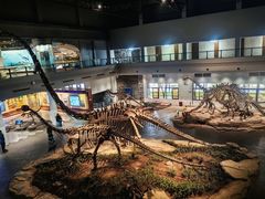 -自贡恐龙博物馆