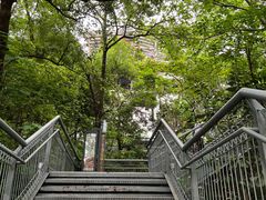 -佛山华盖山公园