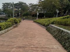 -东莞植物园